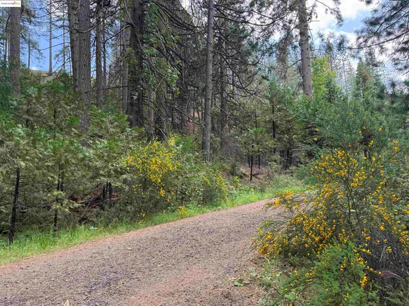 0 Cedar Pines Ave, Twain Harte, CA 95383