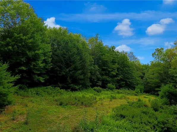 Pleasant Valley Road, Pine Bush, NY 12566