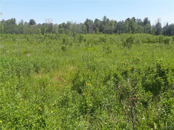 0 Sheldon Rd #12, Dryden, NY 13068