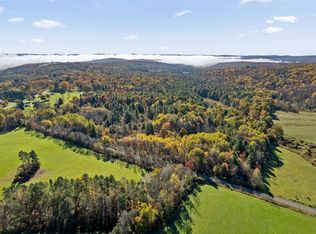 878 Cafferty Rd, Harpursville, NY 13787