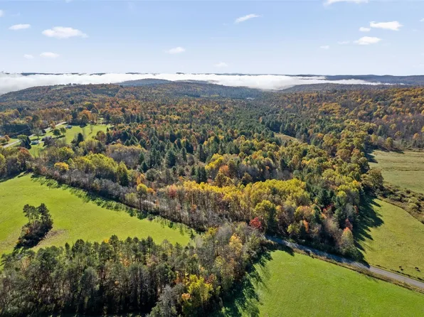 878 Cafferty Rd, Harpursville, NY 13787