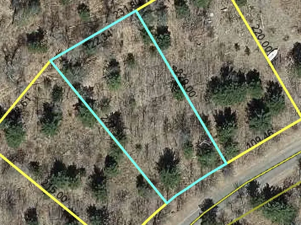 LOT 19 Loon Lake Rd, Danbury, WI 54830