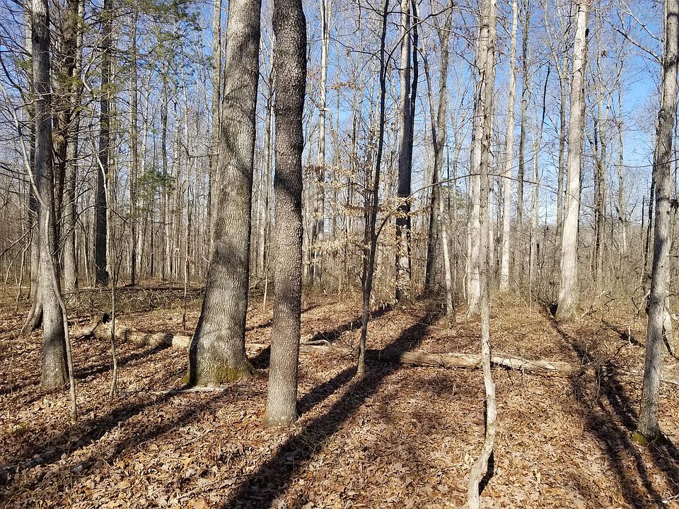 2nd image of 0 S L McCaleb Rd