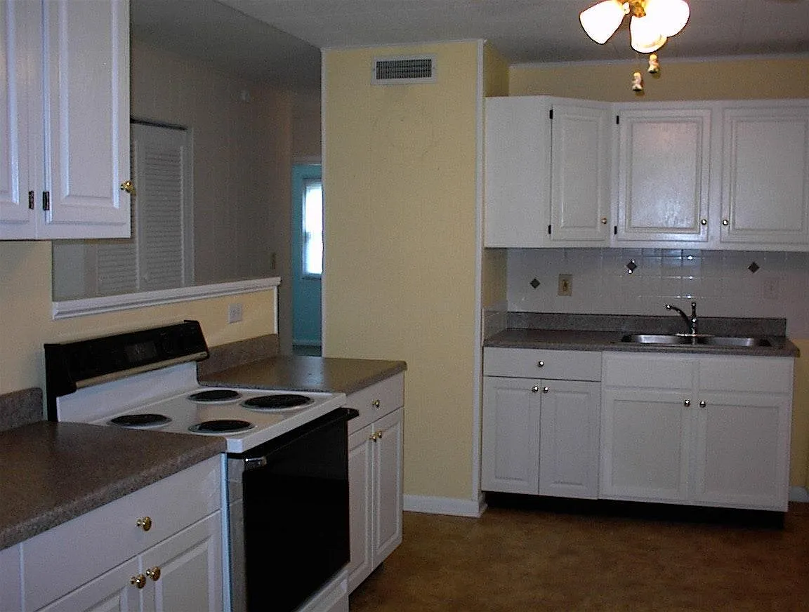3 bed, 980 sqft, $1,250 — Photo 3