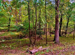 574 Satsuma Ct S, Ellijay, GA 30540