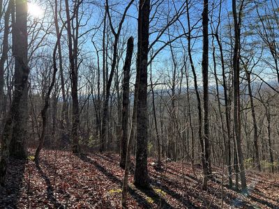 197 Stirratt Rd, Ranger, GA, 30734