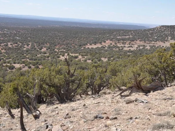 County Road N8285, Concho, AZ 85924