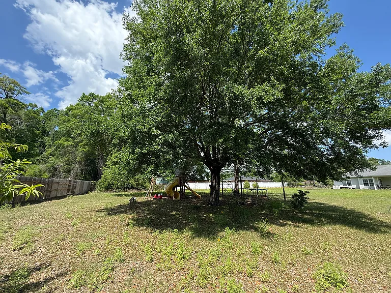 The property has several mature fruit trees
