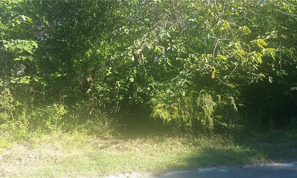 2nd image of 9910 Timmons Rd