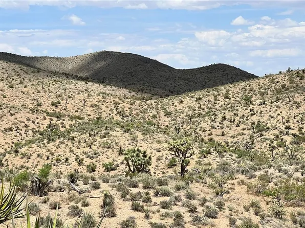 Gods Pocket Dr, Willow Beach, AZ 86445