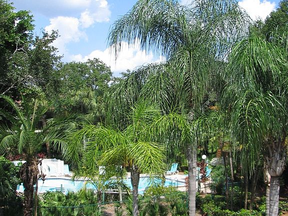 POOL LANDSCAPE