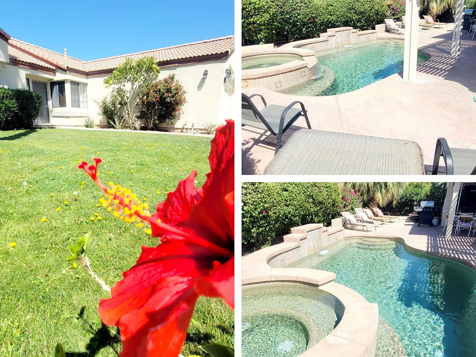 4 bed, 1700 sqft, $5,900 — Photo 4