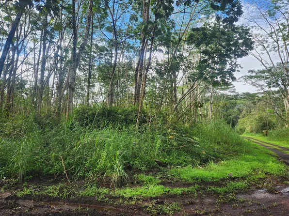 Molokai Rd Lot 1073, Pahoa, HI 96778