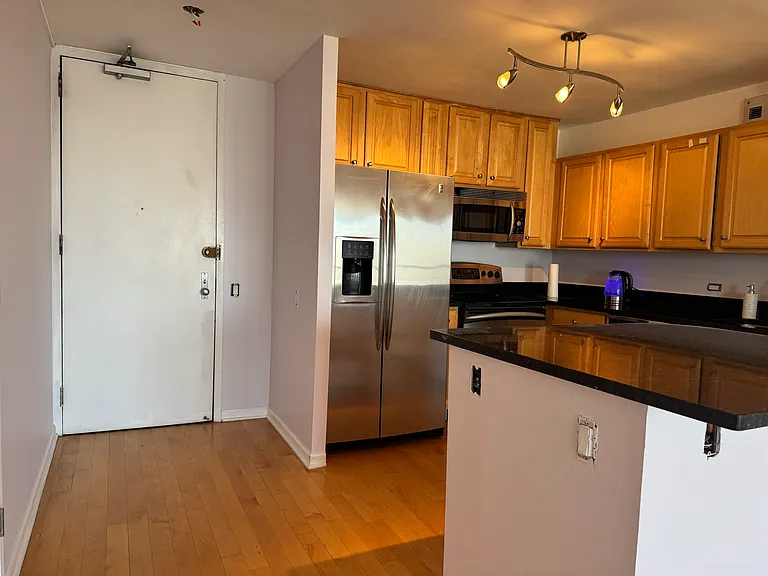 405 N Wabash Ave #4711 — Photo 14
