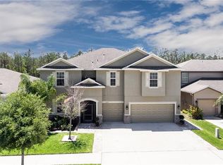 12107 Streambed Dr, Riverview, FL 33579