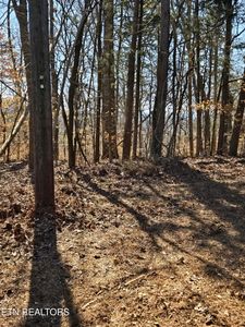 Lots 11 14 River Heights Dr, Ocoee, TN, 37361
