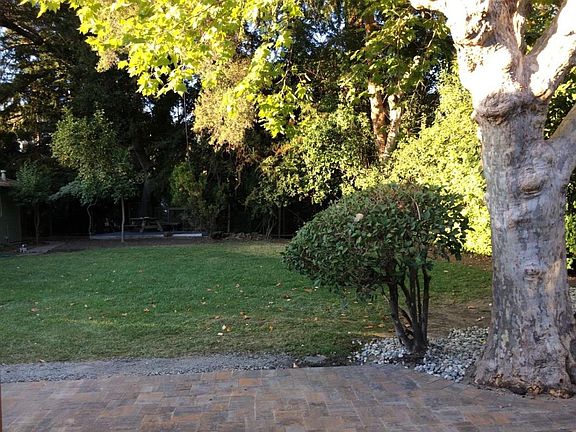 back yard