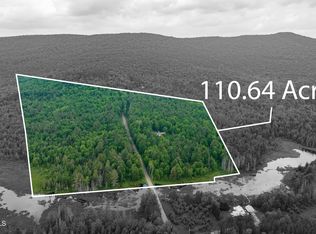 11 Darling Rd, Stony Creek, NY 12878