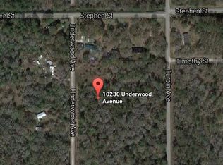 10230 Underwood Ave, Hastings, FL 32145