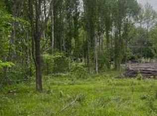 0 Tamarak Ln, Dexter, MO 63841