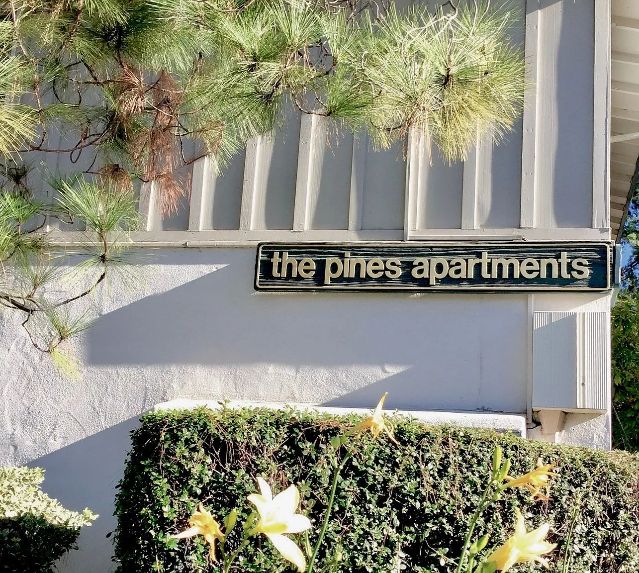The Pines — Photo 2