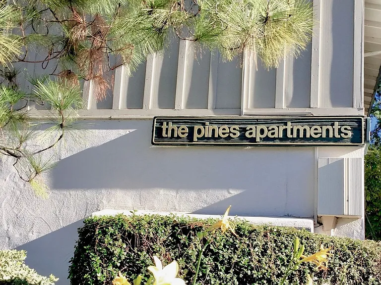 The Pines — Photo 2