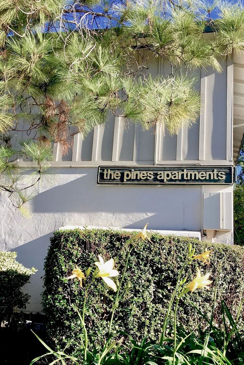 Photo 2 of 69 - The Pines - Menlo Park, CA Building Photo - The Pines