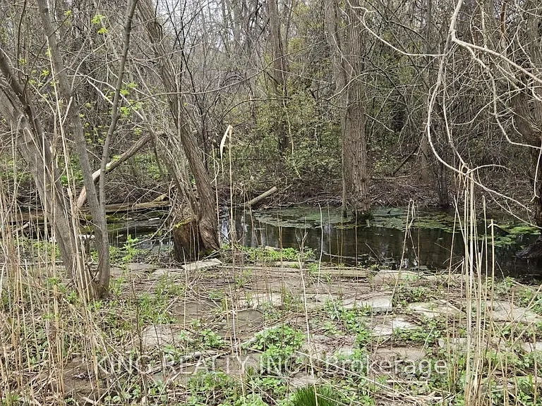 8486 Creditview Rd — Photo 13