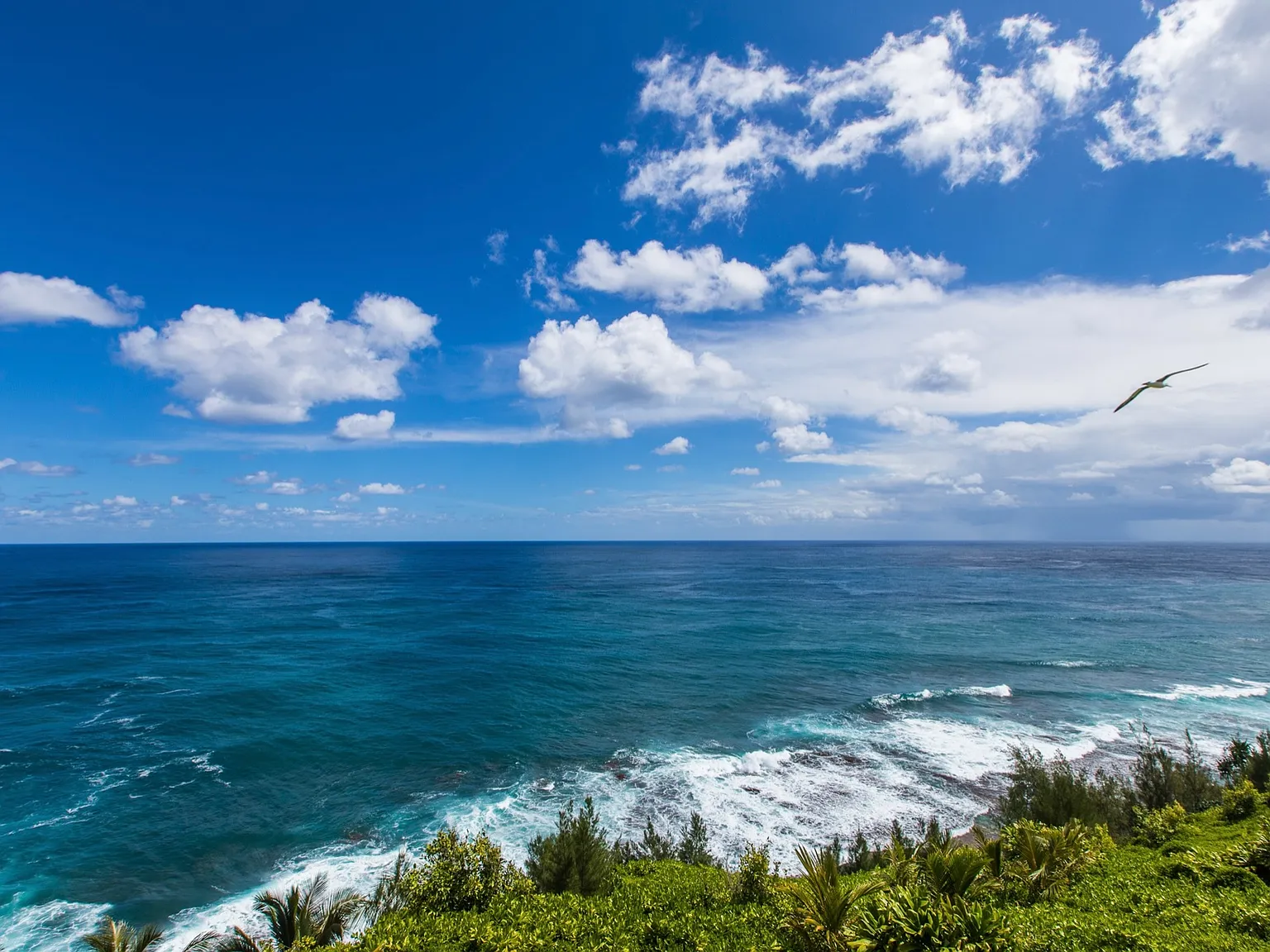 Edward Rd, Princeville — Photo 4