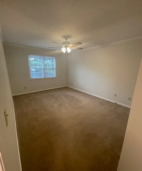 4209 Edith Ln #A — Photo 10