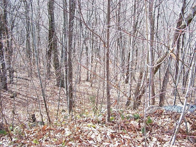 1st image of 209 Pine Ridge Rd