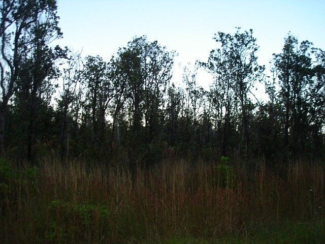 2nd image of Omeka Rd Lot 24