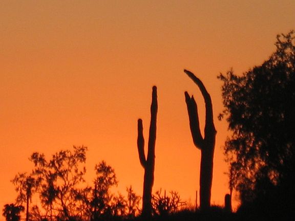 Sunset View and Saguaros on property