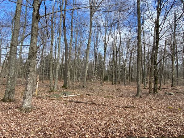1018 W Wadi Rd, Pocono Lake, PA 18347