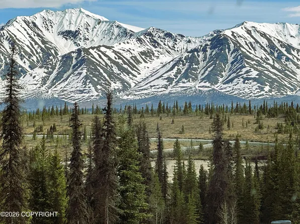 L7 Wonderstruck Ave, Cantwell, AK 99729