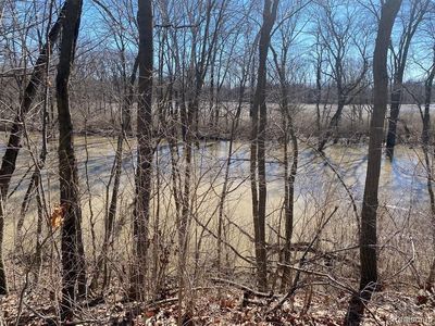 Vacant Stowell Rd, Dundee, MI, 48131