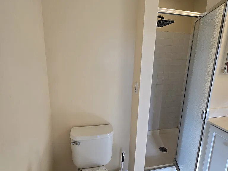 Master bath - Shower