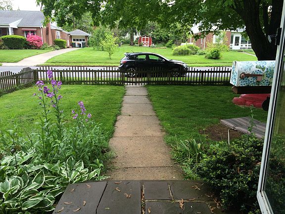 Front yard
