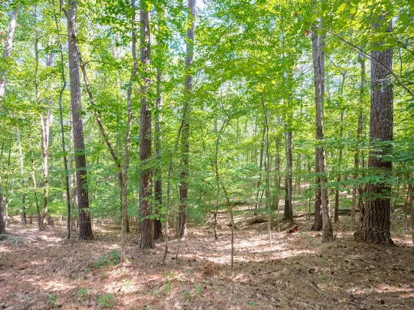 1790 Snug Harbor Dr #6, Greensboro, GA 30642