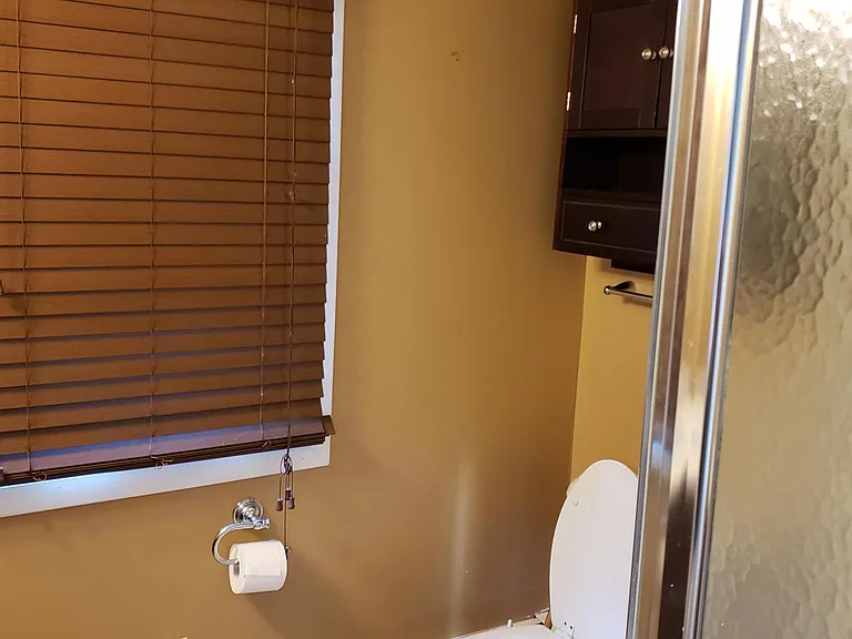 Downstairs bathroom