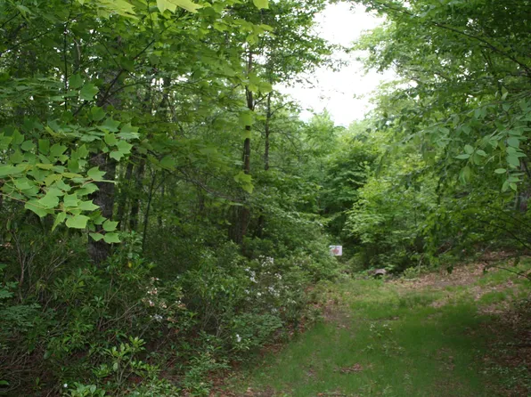 High Valley Dr S, Monterey, VA 24465