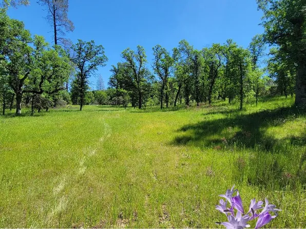 17275 Quailridge Rd, Cottonwood, CA 96022