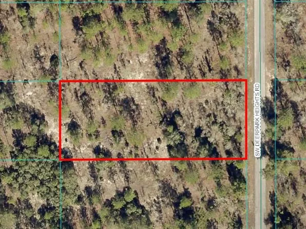 LOT 8 SW Deerpark Heights Rd Lot 8, Dunnellon, FL 34431