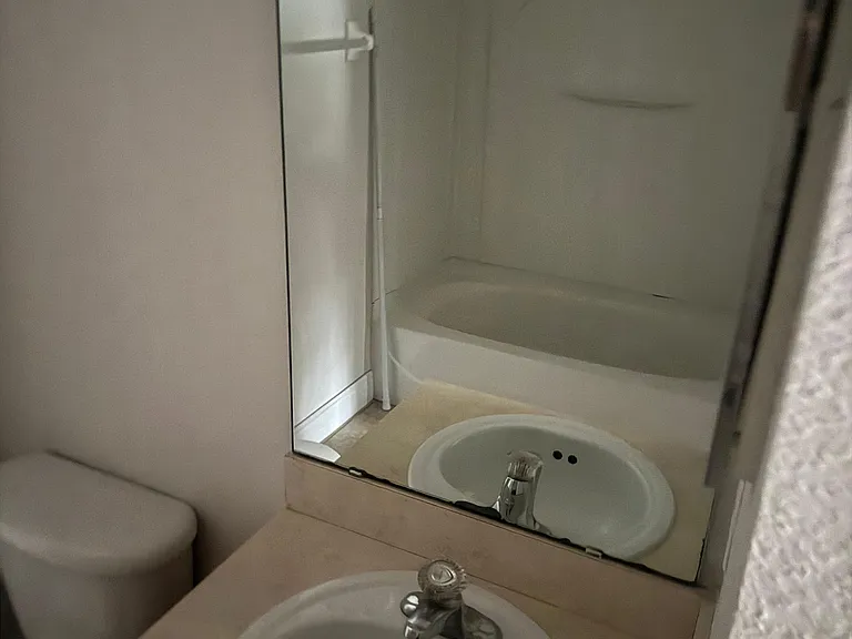 3970 Pemberly Pines Cir — Photo 3