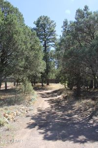 4081 W Cooley St #133, Show Low, AZ, 85901
