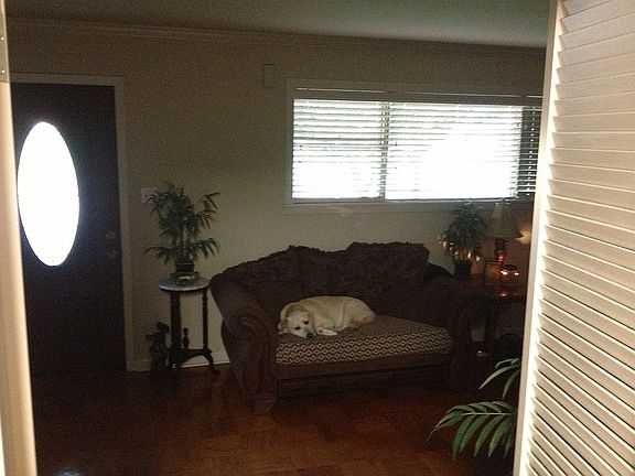 view from kitchen to living