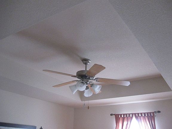 Tray Ceiling in Master