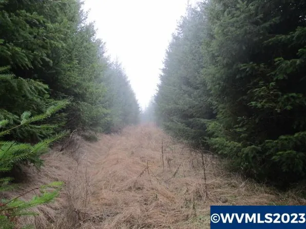 0 SW Buck Hollow Rd, Sheridan, OR 97378