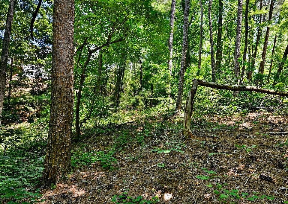 14911491 Little Refuge Rd Waleska, GA, 30183 Apartments for Rent