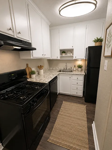 2 bed, 1000 sqft, $1,795 — Photo 4
